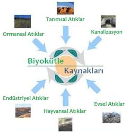 Biyokütle Enerjisi: Doğal Atık Ürünlerden Enerji Üretimi